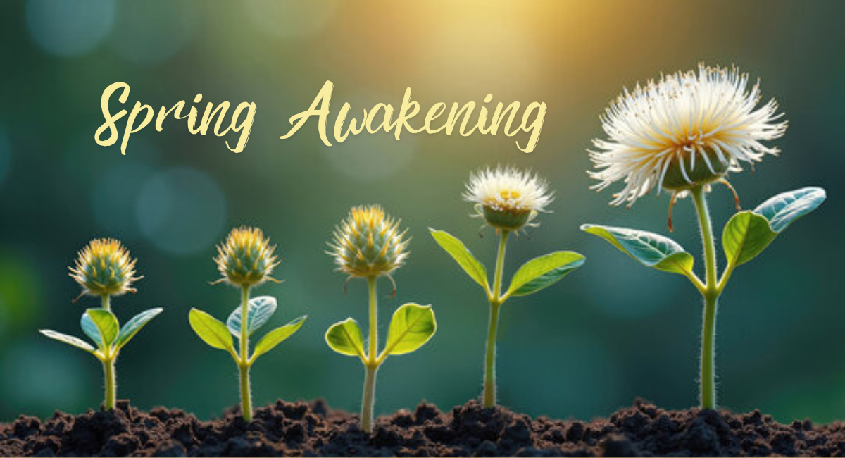 Read more about the article SPRING AWAKENING;  Embrace the Season of Renewal